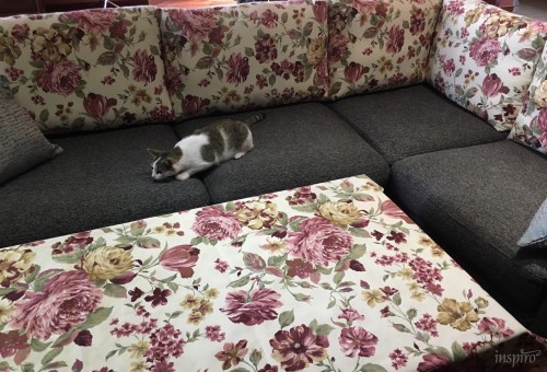 Poduszki, narzuty, obrusy