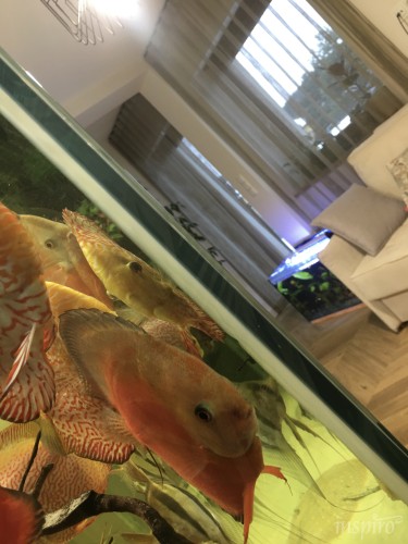 Realizacje nowoczesne